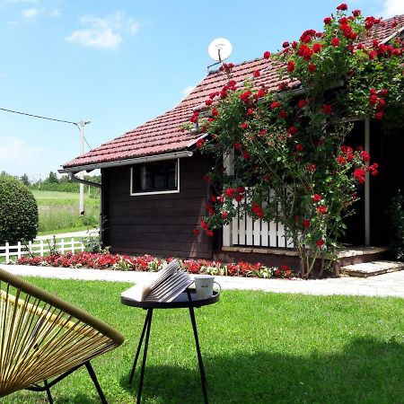 Wooden House Nela Near Plitvice Lakes Smoljanac Exterior photo